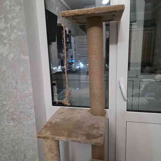 Когтеточка с домиком Донецк