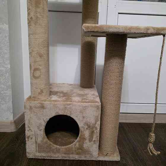 Когтеточка с домиком Донецк