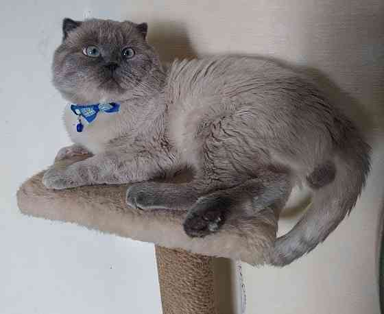 Вязка Донецк