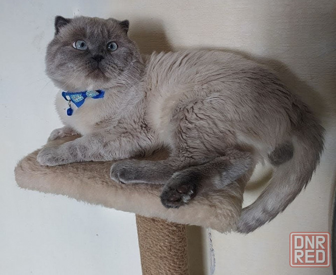 Вязка Донецк - изображение 1