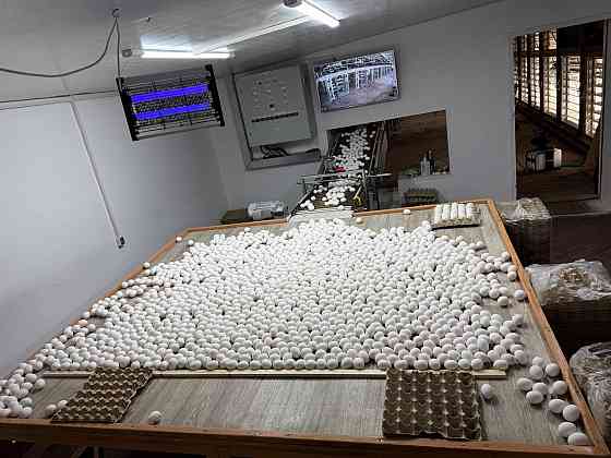 Продажа Действующей Птицефабрики Докучаевск