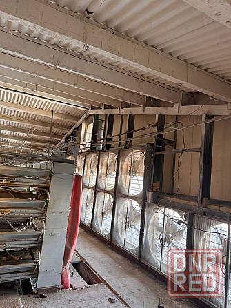 Продажа Действующей Птицефабрики Докучаевск - изображение 8