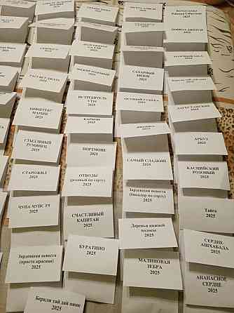 Семена томатов, дынь, арбузов Донецк