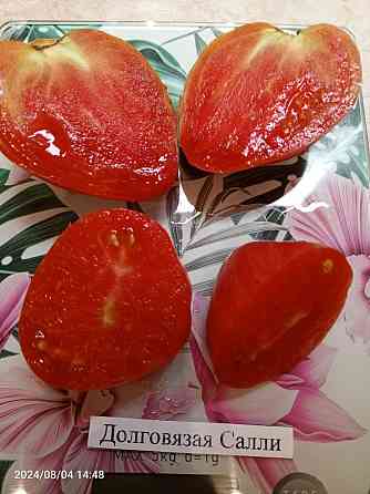 Семена томатов, дынь, арбузов Донецк