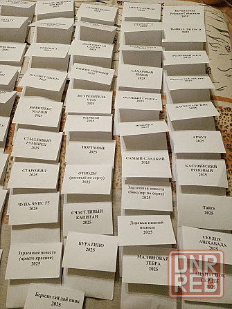 Семена томатов, дынь, арбузов Донецк - изображение 6