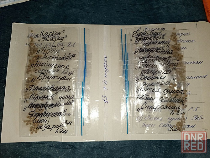 Семена томатов, дынь, арбузов Донецк - изображение 8