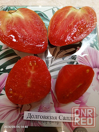 Семена томатов, дынь, арбузов Донецк - изображение 2