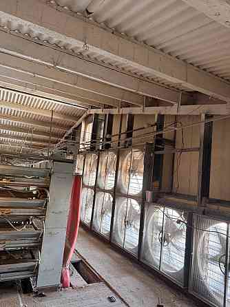 Готовая Птицефабрика Докучаевск