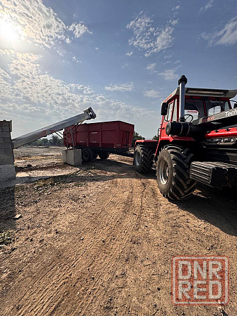 Готовая Птицефабрика Докучаевск - изображение 2