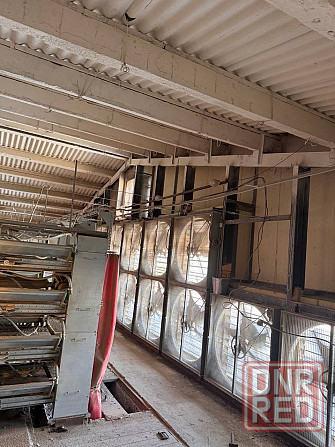 Готовая Птицефабрика Докучаевск - изображение 6