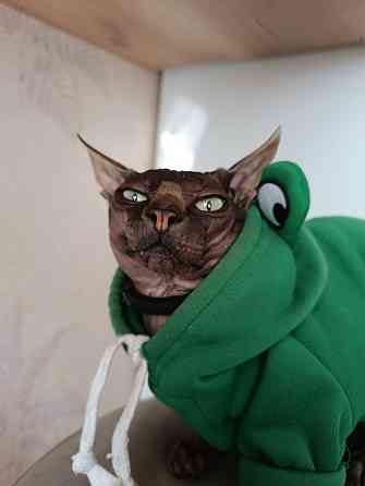 Вязка кота Донецк