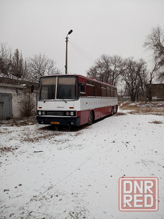 Икарус 250 Енакиево - изображение 1