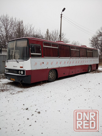 Икарус 250 Енакиево - изображение 2