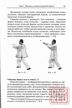 Продам книгу "Истинная техника тайцзи-цюань стиля ян - Вэй Шужэнь@ Донецк - изображение 5