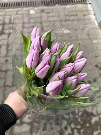 Тюльпаны к 8 марта (Донецк/Макеевка) Макеевка