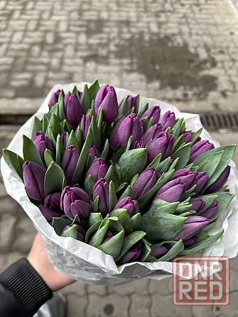 Тюльпаны к 8 марта (Донецк/Макеевка) Макеевка - изображение 8