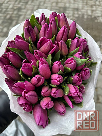 Тюльпаны к 8 марта (Донецк/Макеевка) Макеевка - изображение 7