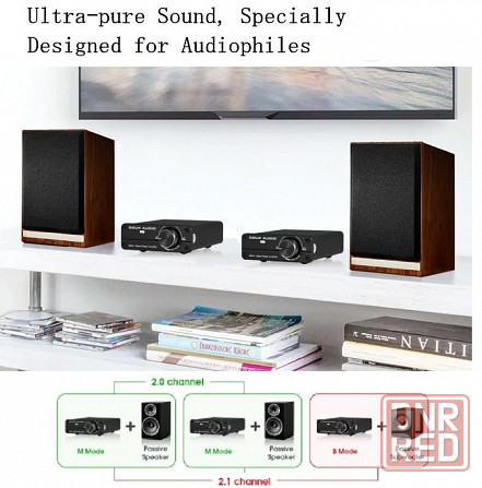 Моноблоки (усилители) Douk Audio G4 Донецк - изображение 4