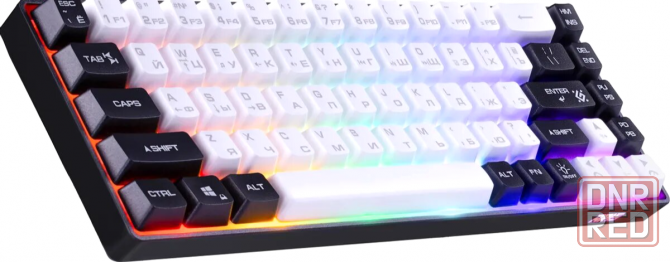 Клавиатура Defender Aris Gk-349, Usb, белый + черный [45349] (арт-2202) Донецк - изображение 4