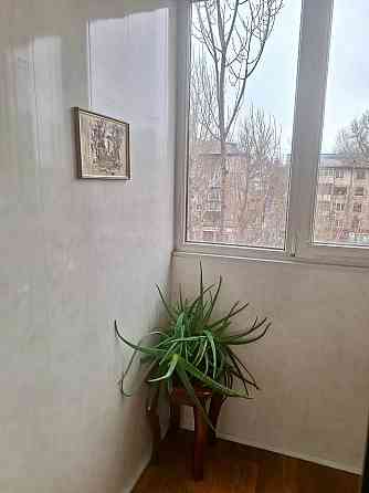 2х ком. квартира, ост. перед Шахтёрской пл. (быш. кафе Зимний сад) Донецк