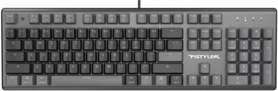 Клавиатура A4tech Fstyler Fs100 Neon механическая черный Usb For Gamer Led (Fs100) (арт-4608) Донецк