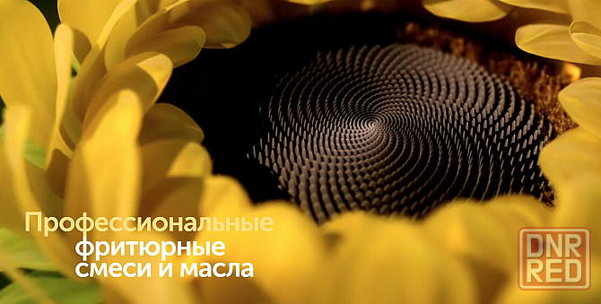 SolPro - промышленные жиры и маргарины для хлебобулочной промышленности Луганск - изображение 1