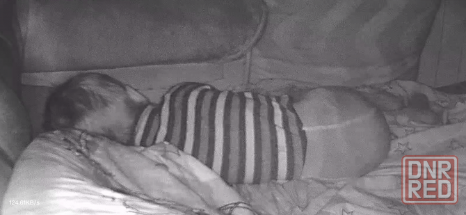 Видеоняня. Камера наблюдения Макеевка - изображение 3