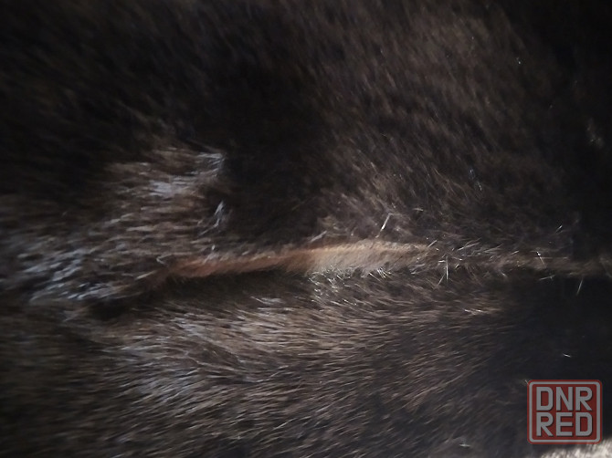 Шуба норковая р42-48 Донецк - изображение 4