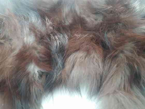 продам мех натуральный Донецк