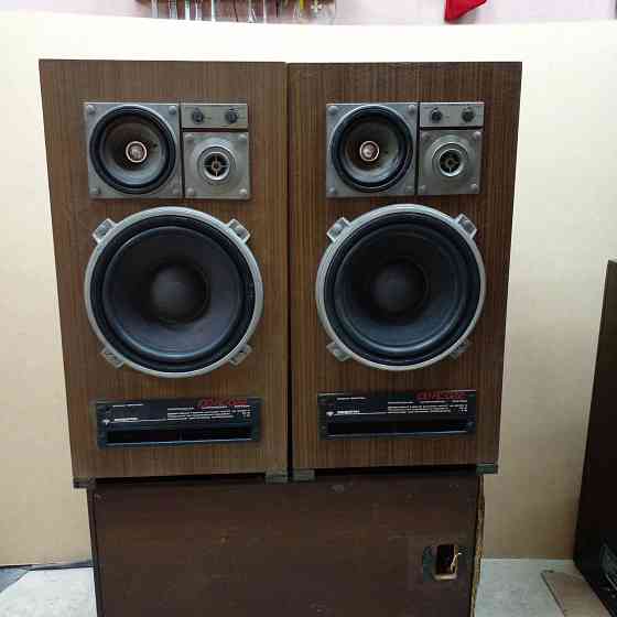 эксклюзивная акустика Горловка