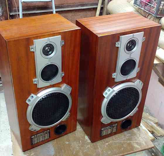 эксклюзивная акустика Горловка