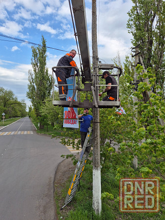Спил деревьев Макеевка - изображение 1