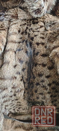 Продам натуральную шубу из камышового кота Донецк - изображение 8