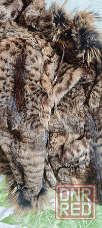 Продам натуральную шубу из камышового кота Донецк - изображение 7