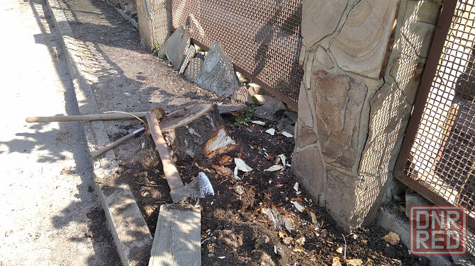 Выкорчевывание пней и поросли в Донецке Донецк - изображение 1