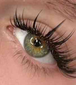 Наращивание ресниц, ламинирование ресниц и бровей Донецк