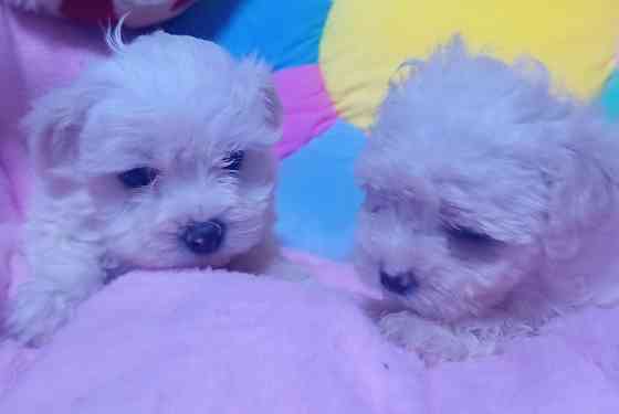 .................. Макеевка