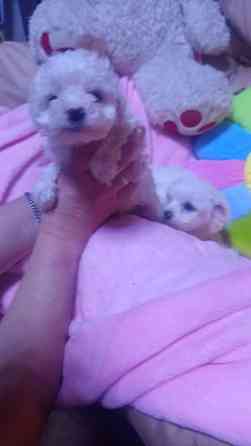 .................. Макеевка