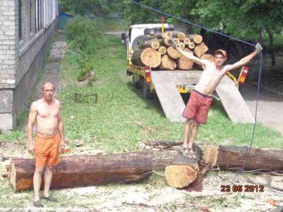 Валка деревьев Донецк