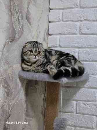 Вязка Макеевка