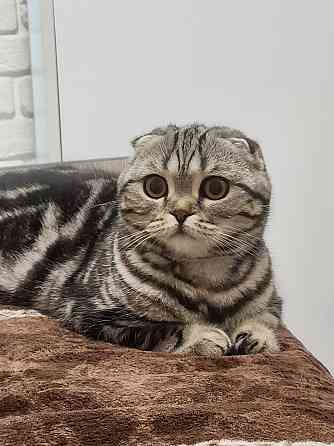 Вязка Макеевка