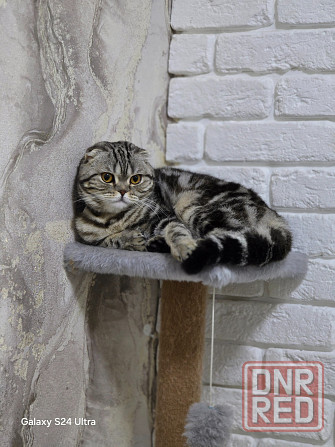 Вязка Макеевка - изображение 2