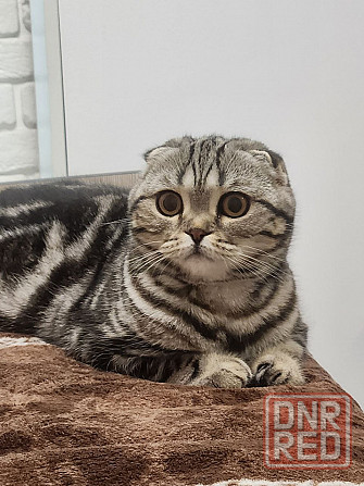 Вязка Макеевка - изображение 1