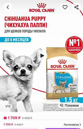 Корм Royal Canin " для чихуа,1.5 кг Донецк
