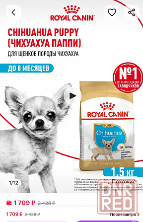 Корм Royal Canin " для чихуа,1.5 кг Донецк - изображение 1
