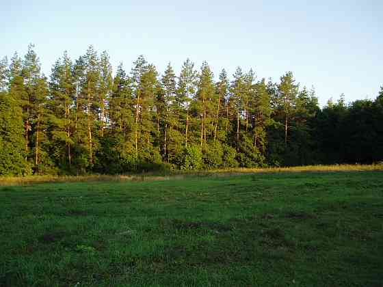 Продам земельные участки пгт.Комсомольское ,Форрест Парк Комсомольское