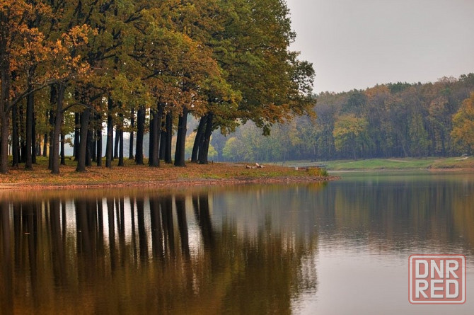 Продам земельные участки пгт.Комсомольское ,Форрест Парк Комсомольское - изображение 9