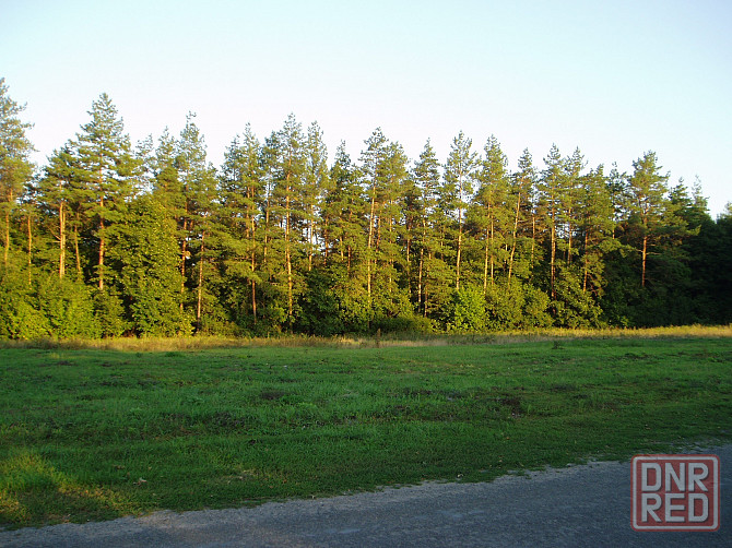 Продам земельные участки пгт.Комсомольское ,Форрест Парк Комсомольское - изображение 1