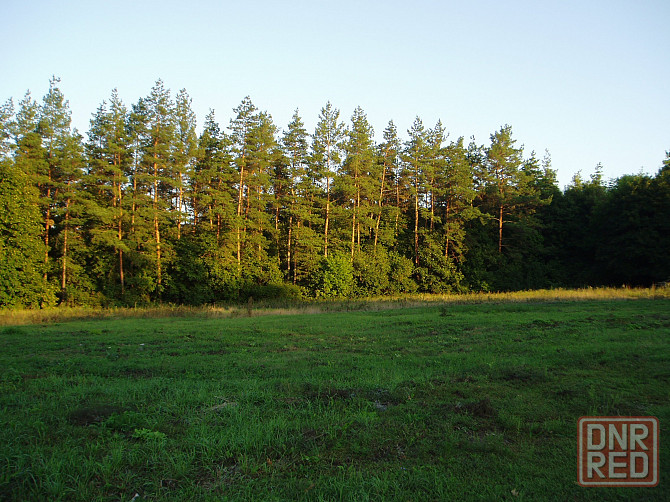 Продам земельные участки пгт.Комсомольское ,Форрест Парк Комсомольское - изображение 5