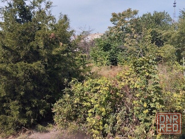 Участок 10 сот Буденновка Донецк - изображение 1